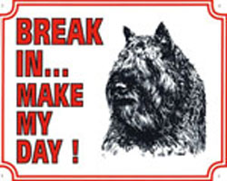 Break in make my day Bouvier