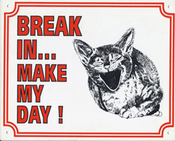 Break in make my day Kat