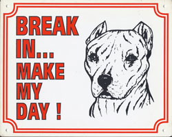 Break in make my day Pitbull