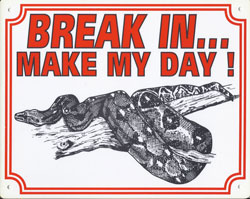 Break in make my day Boa constrictor