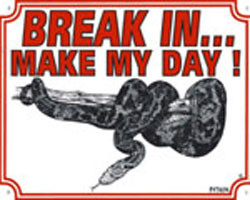 Break in make my day Python