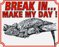 Break in make my day Gekko