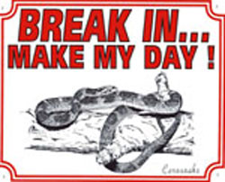 Break in make my day Cornsnake