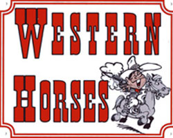 Western horses
