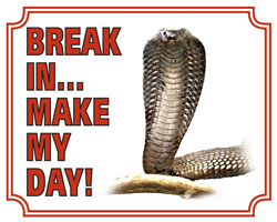Break in make my day Cobra