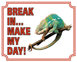 Break in make my day Kameleon