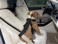 Auto Veiligheidstuig Small